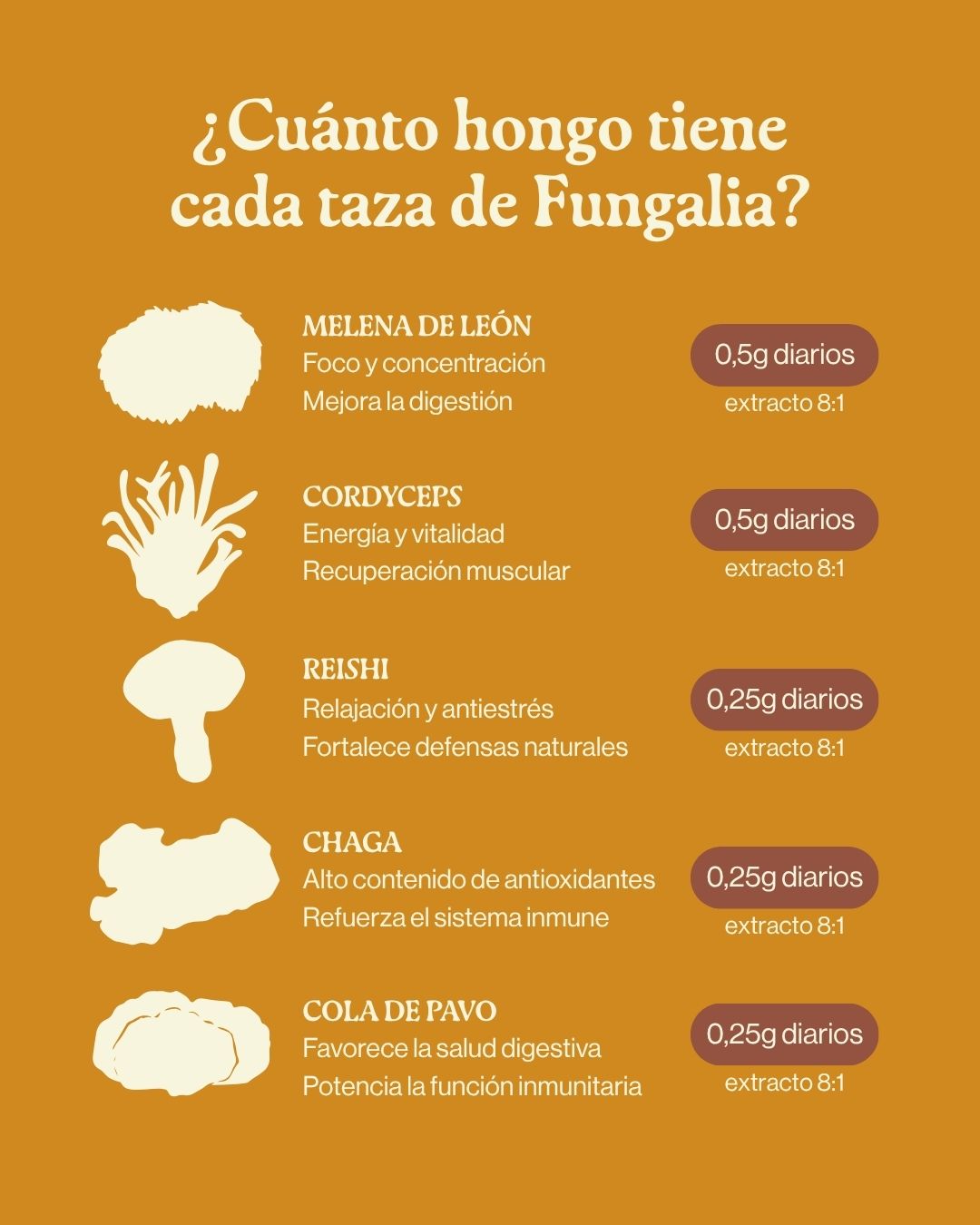 Close-up of a single green leaf against a white background.