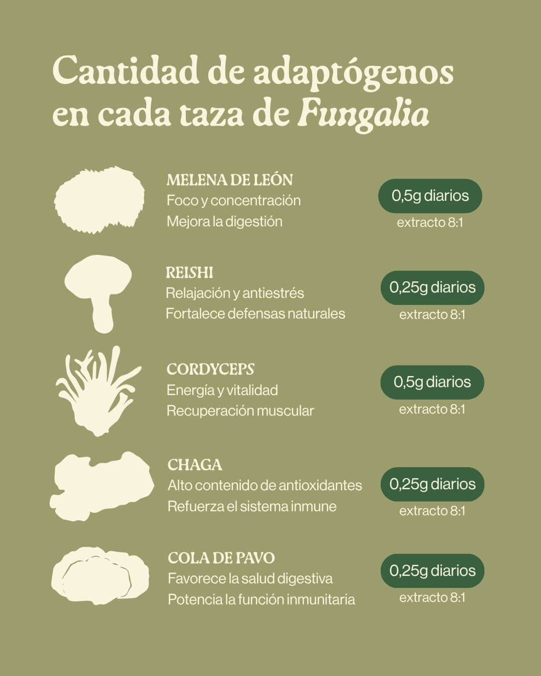 Close-up of a single green leaf against a white background.