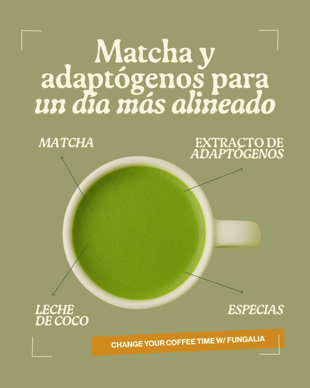 Close-up of a single green leaf against a white background.