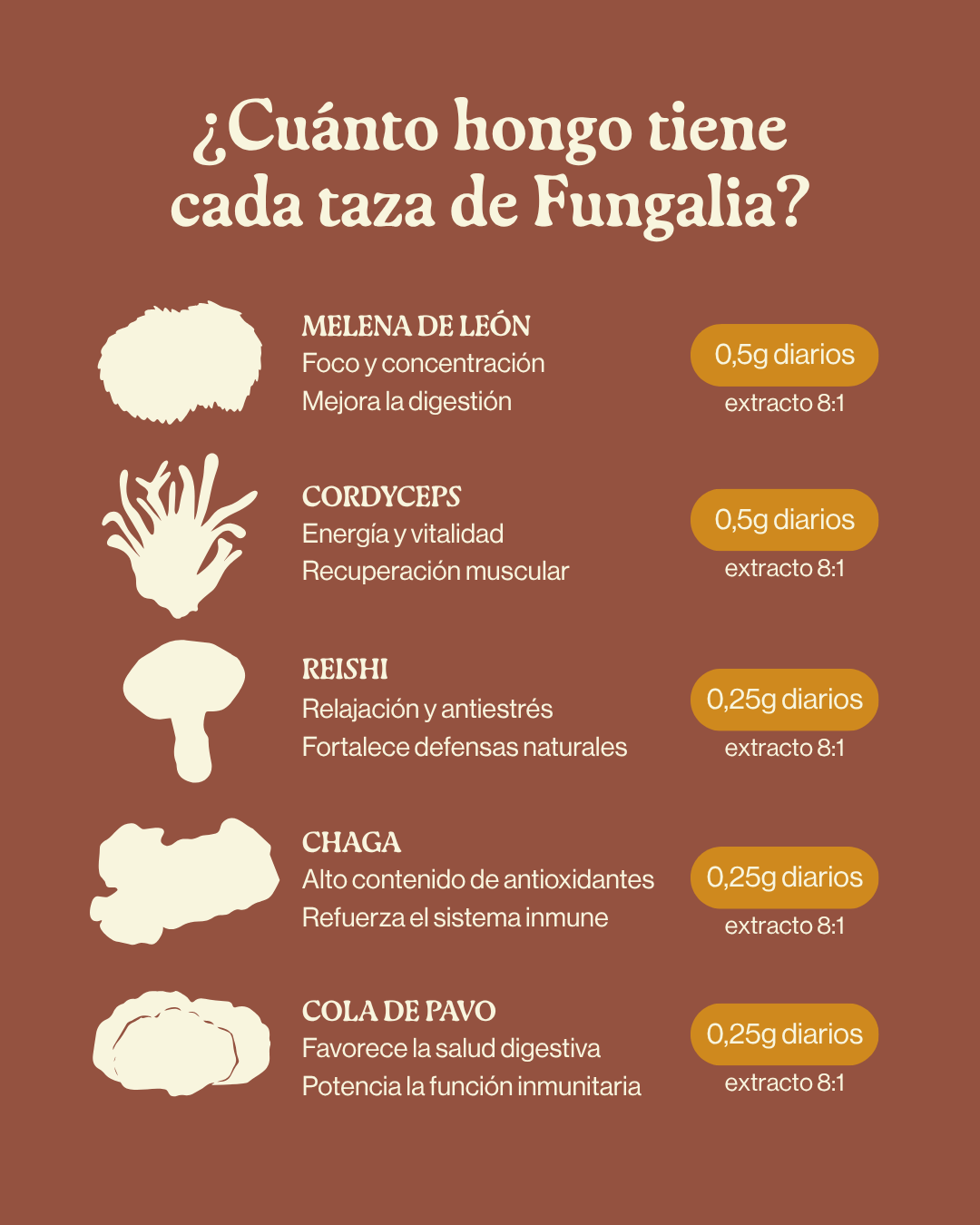 Close-up of a single green leaf against a white background.