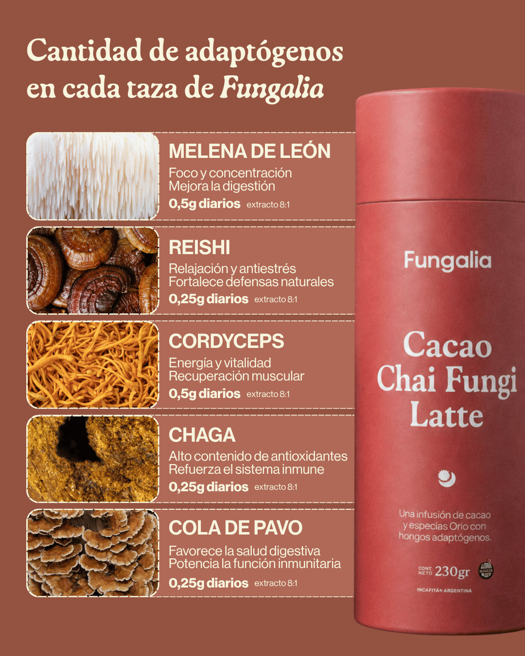 Cacao-Chai Fungi Latte